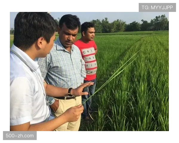 优化体育赛事转播流程 克服时差难题 提升国际传播效率